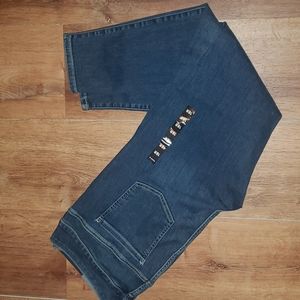 Torrid Jegging 18R